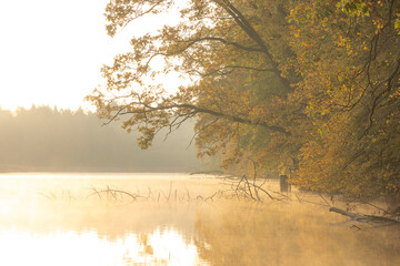 morning on the river