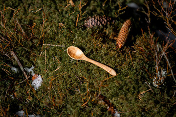 A wooden spoon rests on moss surrounded by pinecones, twigs, and patches of snow, highlighting the contrast between human craft and nature.