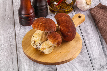 Raw natural wild porchini mushrooms