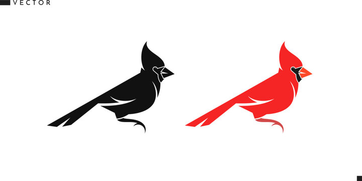 Northern cardinal bird vector