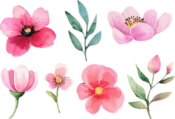 set of pink flowers