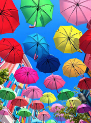A vibrant display of multicolored umbrellas hangs overhead against a clear blue sky, creating a whimsical atmosphere.