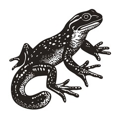 Fototapeta premium A detailed illustration of a lizard with a textured design.