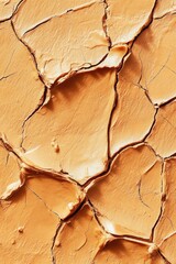 Naklejka premium Cracked Surface Close Up