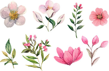 set of pink and white flowers