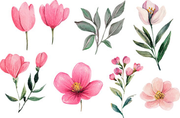 seamless pattern with pink tulips