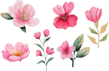 pink and white flowers