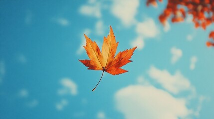 Falling autumn maple leaf, blue sky, clouds, seasonal design