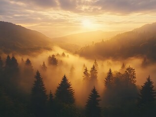 Golden Sunrise Over Foggy Mountain Forest