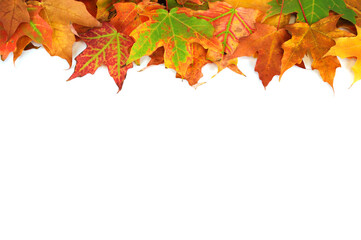 autumn leaves frame with blank copy space
