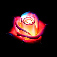 Colorful glowing roses, Black background image 