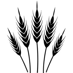 wheat ears isolated on white