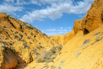 Fototapeta premium A Yellow Mountain in the Desert of Medenine, Tunisia