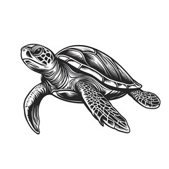 Fototapeta premium A detailed illustration of a sea turtle swimming gracefully.