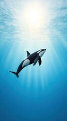 Majestic Orca Swimming Beneath Sunlit Waters