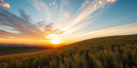 Obraz premium Golden Hour Serenity Sunbeams Illuminate Rolling Field of Tall Grass at Sunset