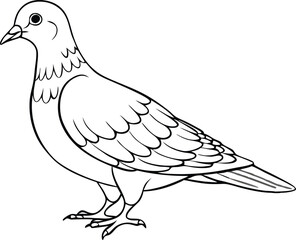 dove line art style vector illustration