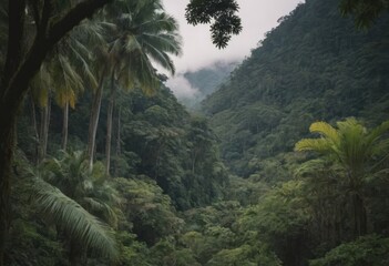 Fototapeta premium A winding path through a lush forest with palm trees and ferns