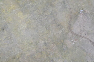 showcases a rough, textured concrete surface. It's ideal for backgrounds, textures, or illustrating construction, urban decay, or industrial themes. detail and contrast, design projects, web graphics