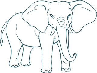 Elephant hand drawn illustrations