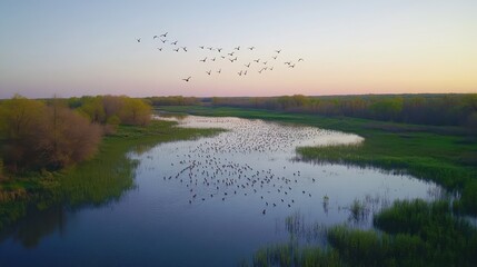 Dynamic aerial capture of migrating birds over serene wetlands at sunset