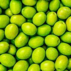 Food background of Fresh Harvested Green Olive for olive oil production pattern texture. Raw fruit for olive oil. Green backdrop of autumn season olive crop