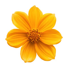 Bright yellow flower with vibrant petals and detailed center