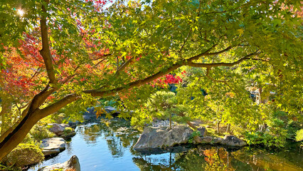 美しい日本庭園　日本の秋