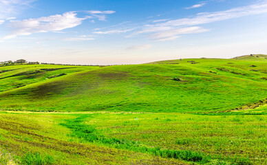 green spring hills with young grass and amazing growing fields and hills with beautiful bright cloudy sunset on background of rural landscape