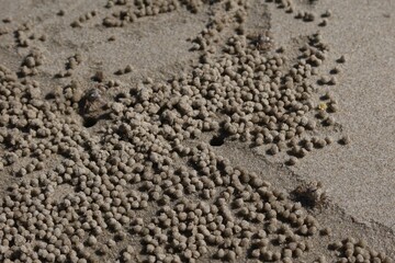 traces on sand