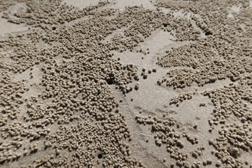 texture background