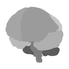 Gray brain with a white background. The brain is drawn in a very simple way, with no detail. Concept of simplicity and minimalism