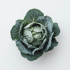 Obraz premium Fresh green cabbage with tightly packed leaves on a light background ready for cooking or salad preparation