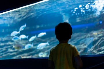 Curious child observing fish swimming in large aquarium tank