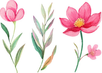 bouquet of pink tulips