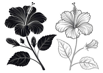 Obraz premium black and white flowers
