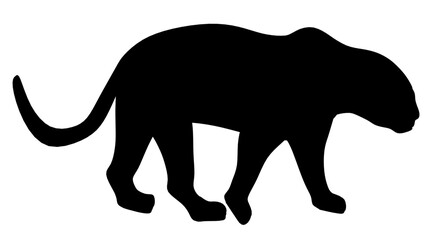 Black panther is walking on a white background. The panther is the main focus of the image, and it is moving with purpose. The black and white color scheme creates a sense of contrast