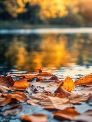autumn leaves on the water of a lake. The golden light of the setting sun enhances the vibrant colors,