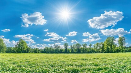 Obraz premium Stunning Summer Landscape with Lush Meadow and Bright Sky