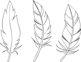 Feather icons. Set of feather icons isolated on white background