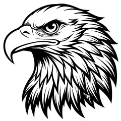 Vector Eagle Head Illustration for Print and Graphics Design