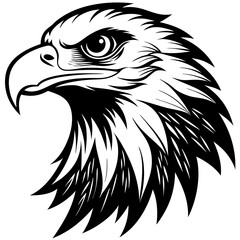 Vector Eagle Head Illustration for Print and Graphics Design
