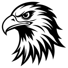Vector Eagle Head Illustration for Print and Graphics Design