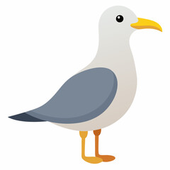 duck isolated on white