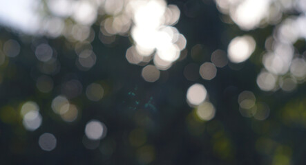 Obraz premium Green bokeh background
