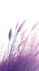Lush row of deep purple grass swaying gently in the breeze under a bright sky during late afternoon