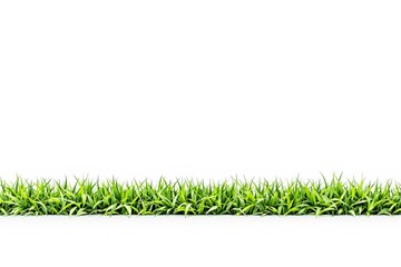 Fototapeta premium A row of vibrant green grass blades with a clean white background, offering a minimalistic and nature-inspired design concept. Ai generative
