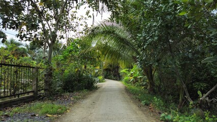 Naklejka premium A peaceful narrow rural path surrounded by lush greenery and tropical palm trees in Mekong Delta Vietnam.