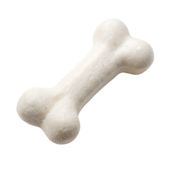 bone isolated on white