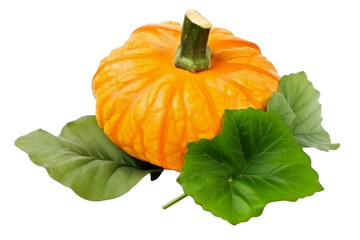 Pumpkin with leaves isolated on transparent PNG.
